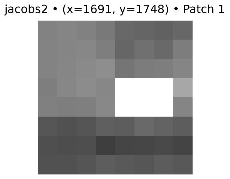 feature 1 for Jacobs