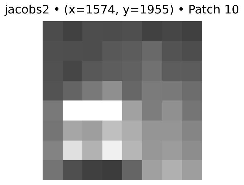 feature 10 for Jacobs