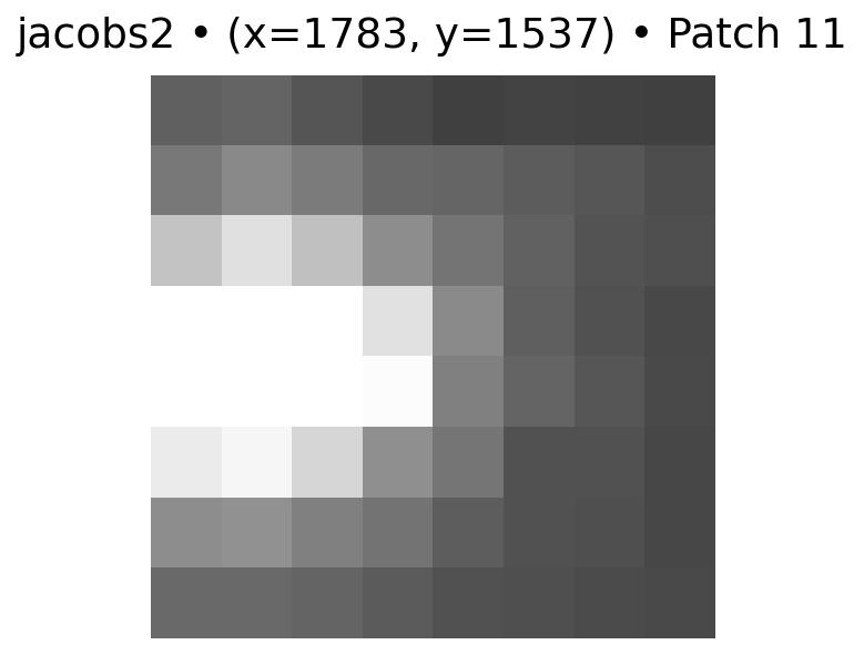 feature 11 for Jacobs