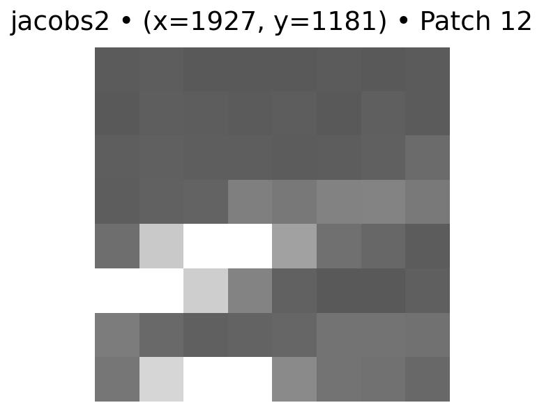 feature 12 for Jacobs