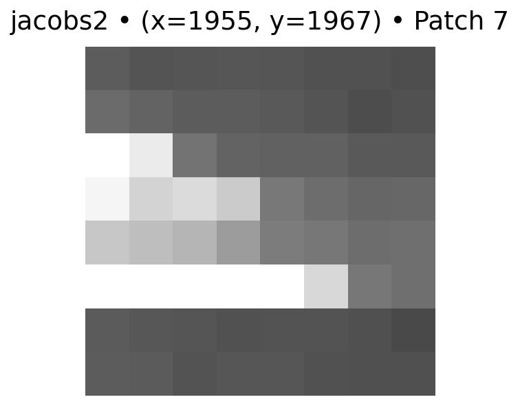 feature 7 for Jacobs