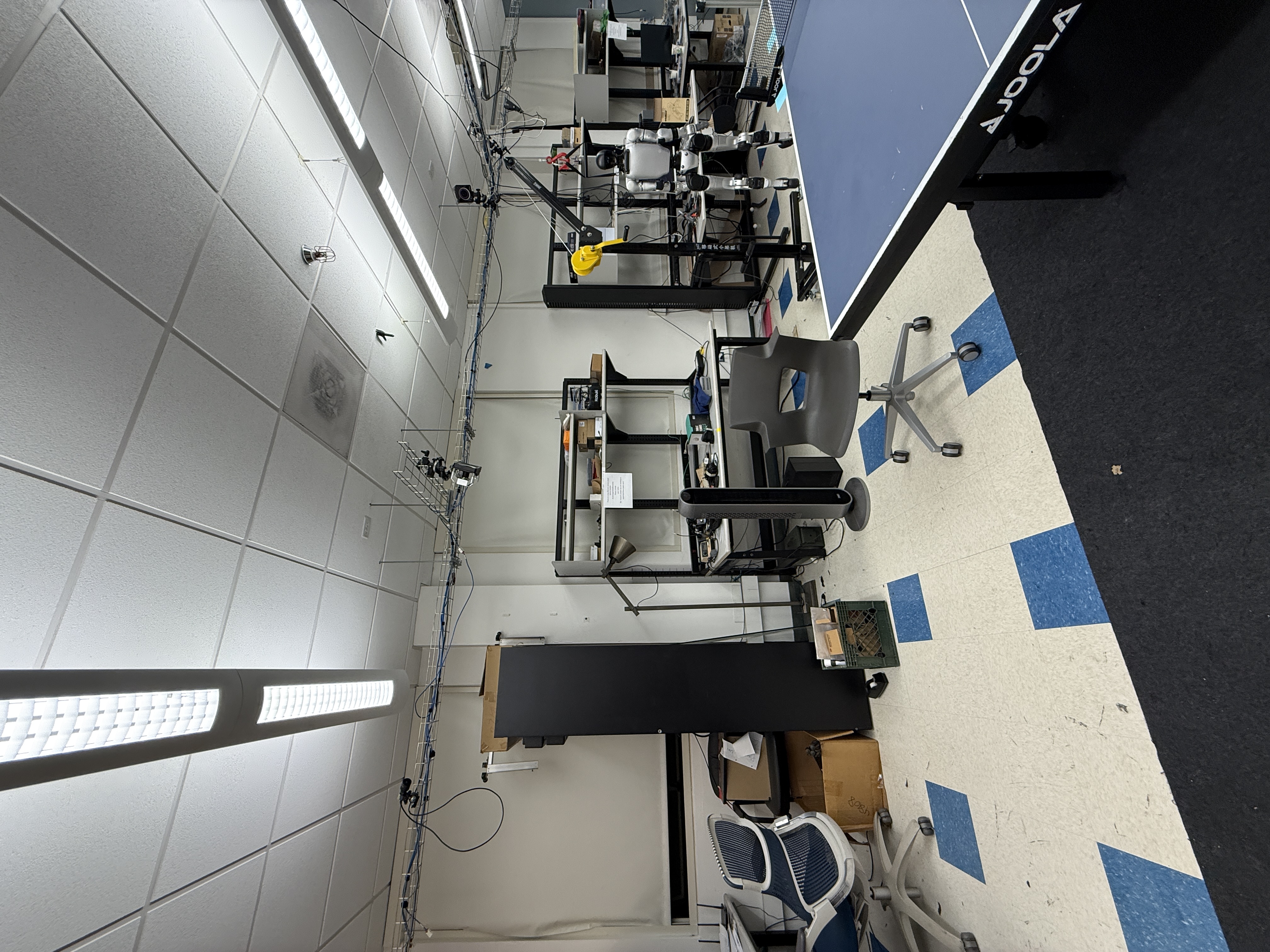 Cory lab, left angle