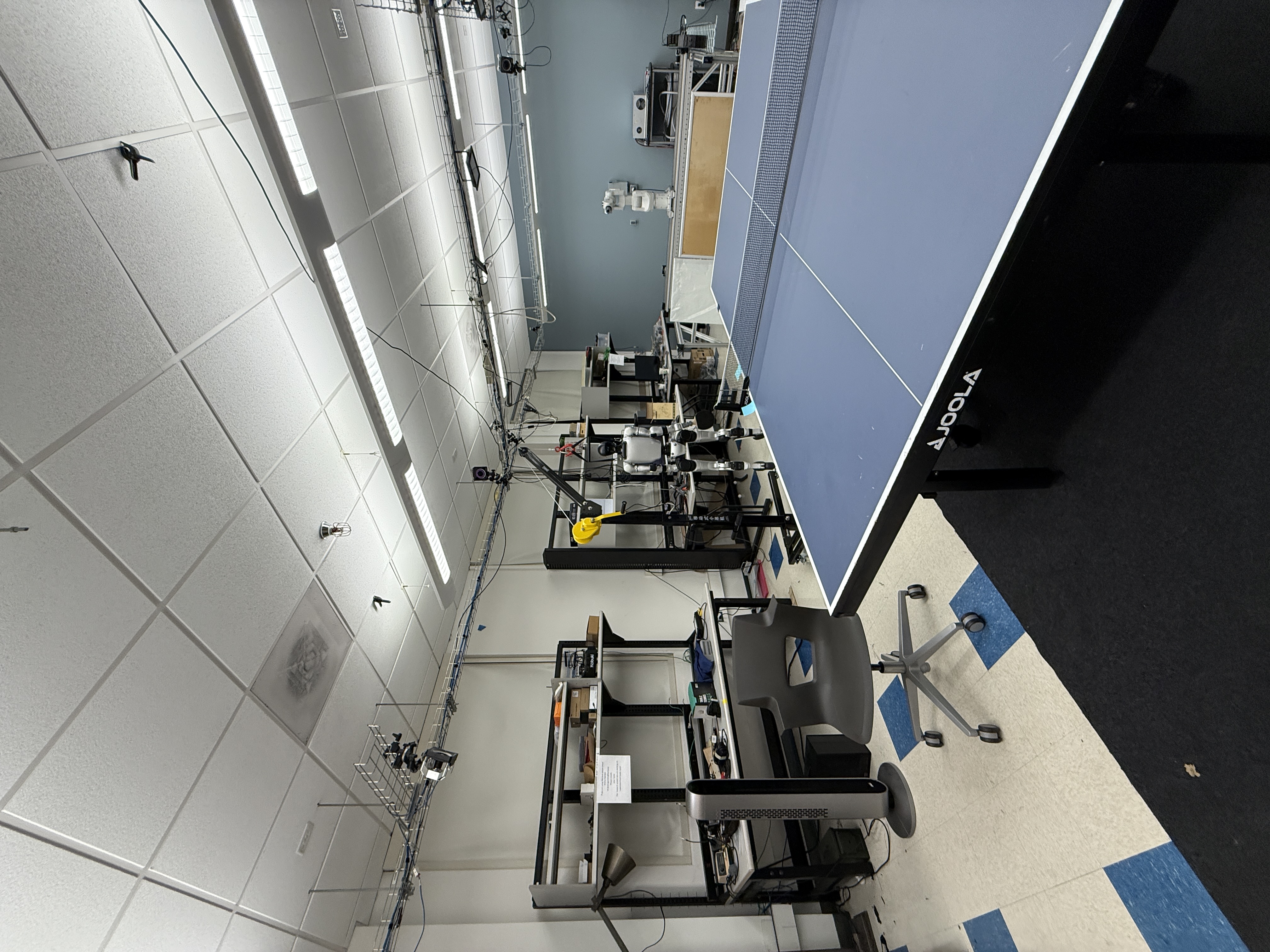 Cory lab, center angle