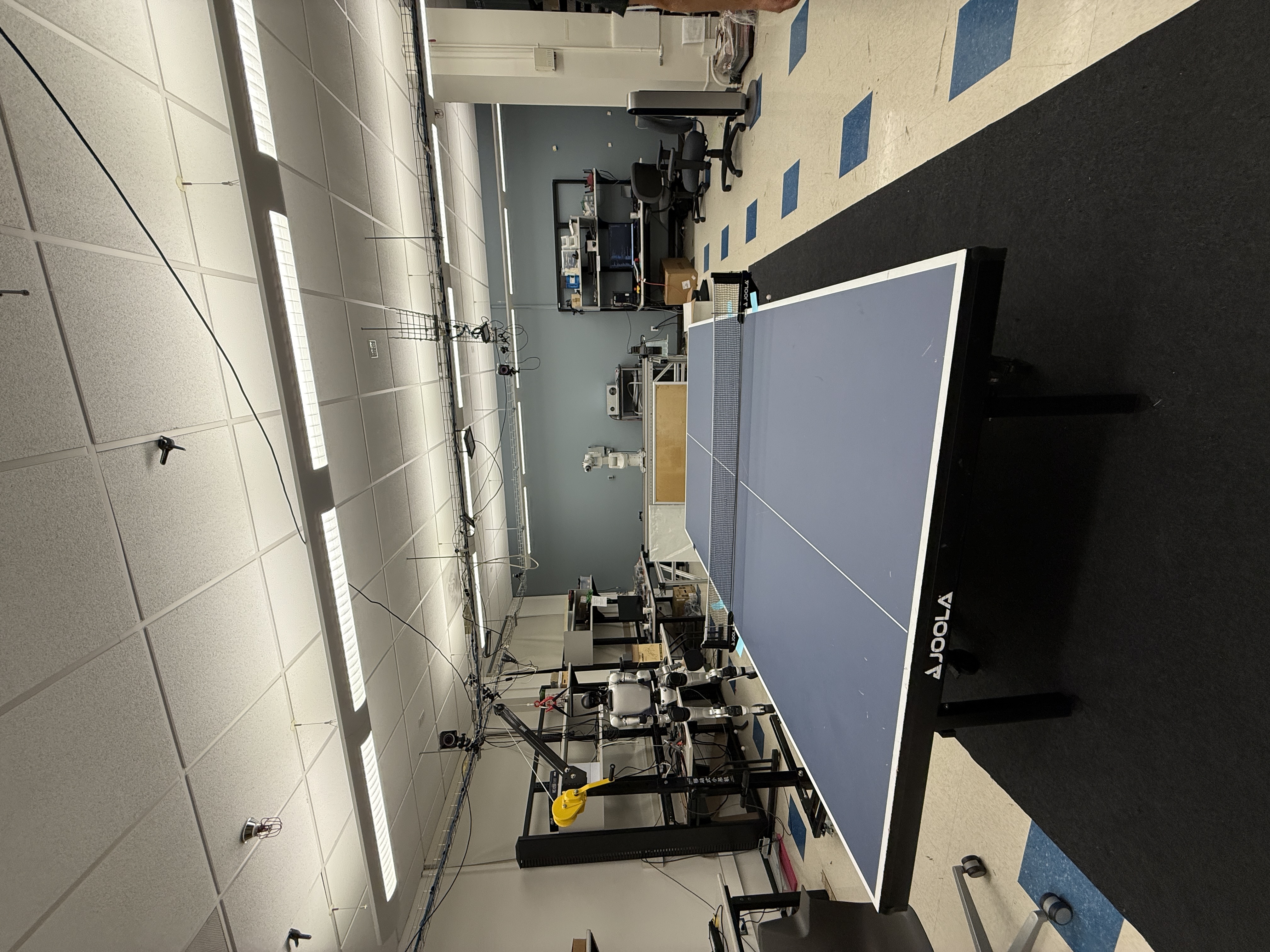 Cory lab, right angle