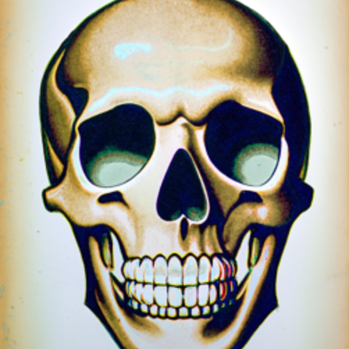 a lithograph of a skull, num_inference_steps = 100